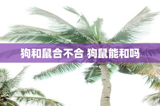 狗和鼠合不合 狗鼠能和吗