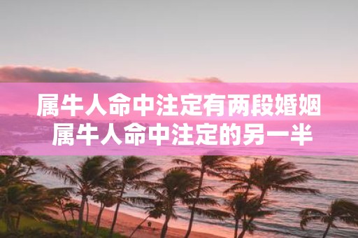 属牛人命中注定有两段婚姻 属牛人命中注定的另一半