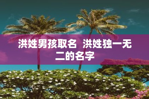 洪姓男孩取名 洪姓独一无二的名字