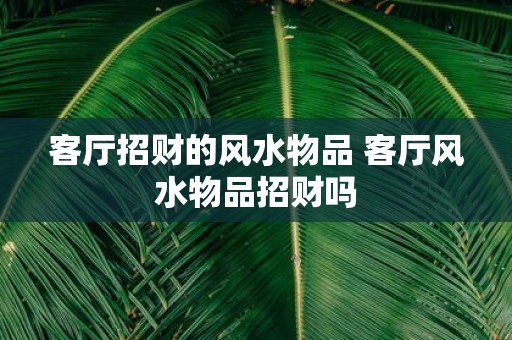 客厅招财的风水物品 客厅风水物品招财吗