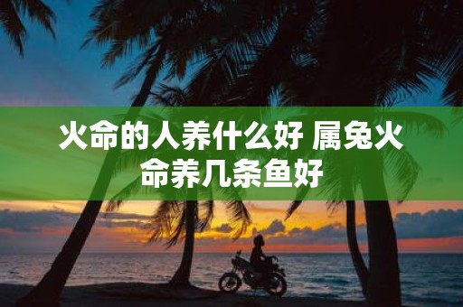 火命的人养什么好 属兔火命养几条鱼好