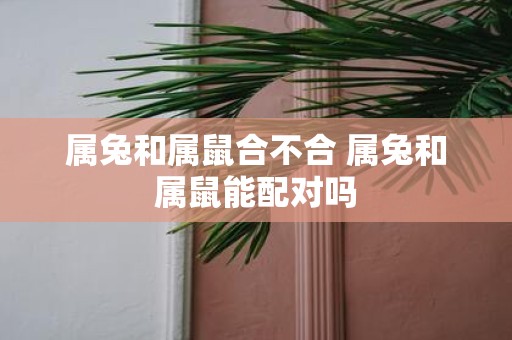 属兔和属鼠合不合 属兔和属鼠能配对吗