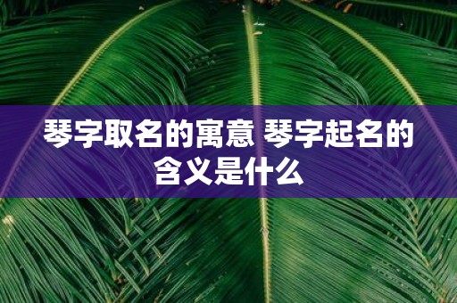 琴字取名的寓意 琴字起名的含义是什么