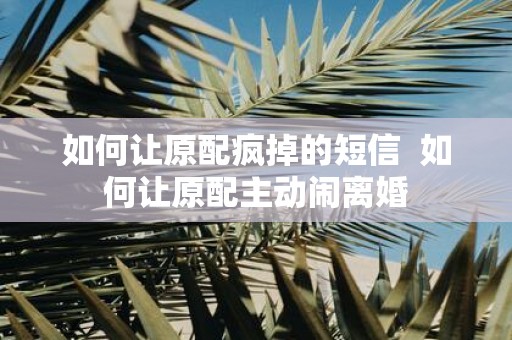 如何让原配疯掉的短信 如何让原配主动闹离婚