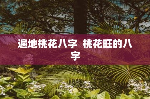 遍地桃花八字 桃花旺的八字