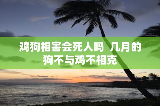 鸡狗相害会死人吗 几月的狗不与鸡不相克