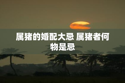 属猪的婚配大忌 属猪者何物是忌