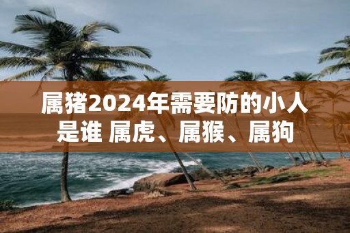 属猪2025年需要防的小人是谁 属虎、属猴、属狗