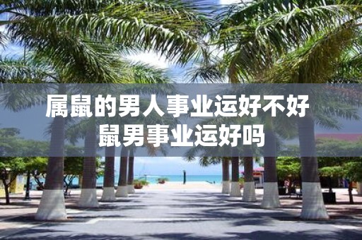 属鼠的男人事业运好不好 鼠男事业运好吗