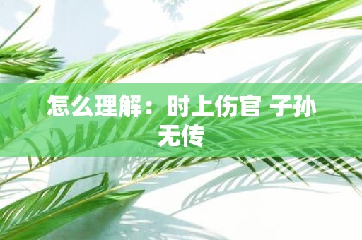 怎么理解：时上伤官 子孙无传