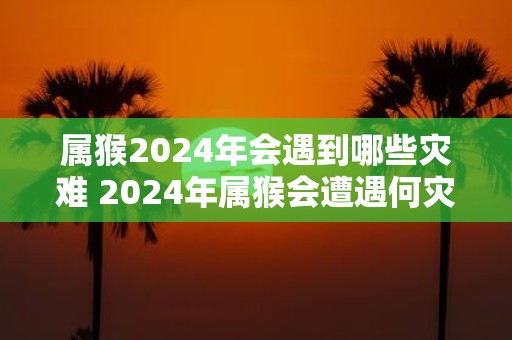 属猴2025年会遇到哪些灾难 2025年属猴会遭遇何灾难
