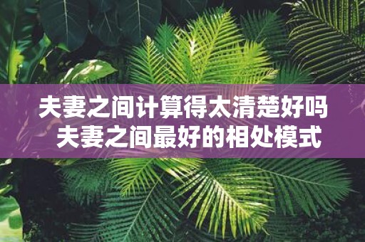 夫妻之间计算得太清楚好吗 夫妻之间最好的相处模式