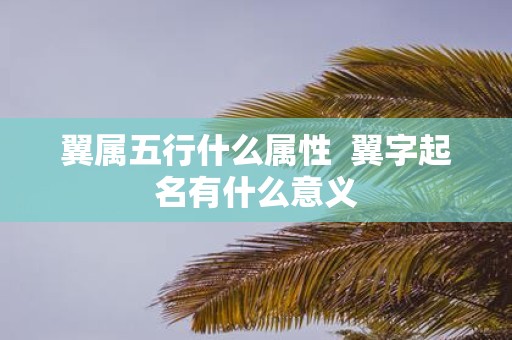 翼属五行什么属性 翼字起名有什么意义