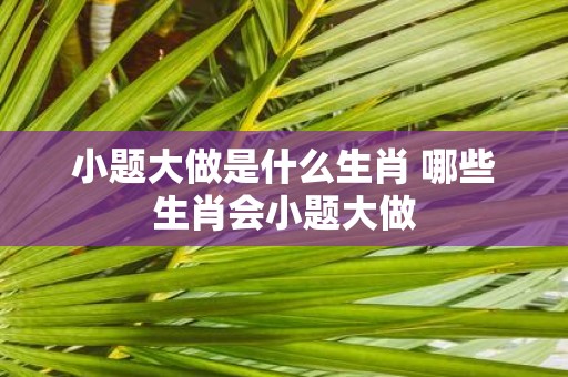 小题大做是什么生肖 哪些生肖会小题大做