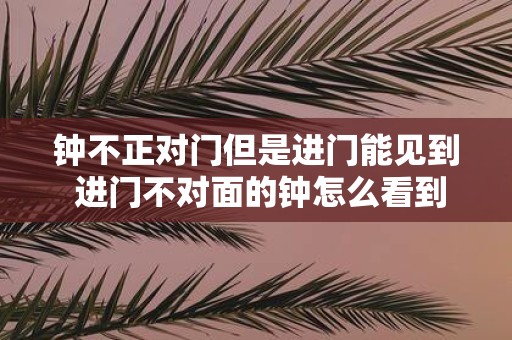 钟不正对门但是进门能见到 进门不对面的钟怎么看到