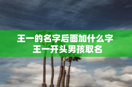 王一的名字后面加什么字 王一开头男孩取名