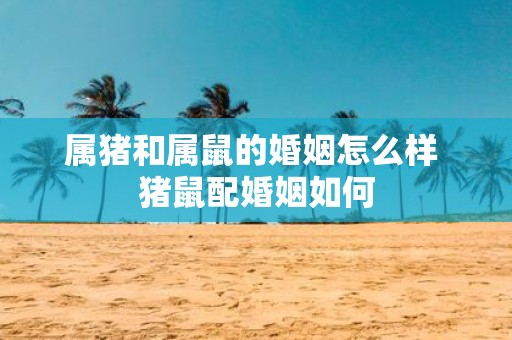 属猪和属鼠的婚姻怎么样 猪鼠配婚姻如何