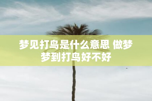 梦见打鸟是什么意思 做梦梦到打鸟好不好