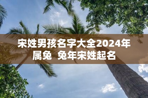 宋姓男孩名字大全2025年属兔 蛇年宋姓起名