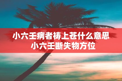 小六壬病者祷上苍什么意思 小六壬断失物方位