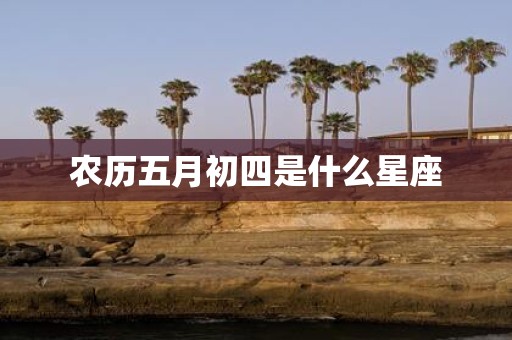 农历五月初四是什么星座