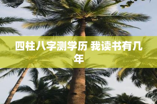 四柱八字测学历 我读书有几年