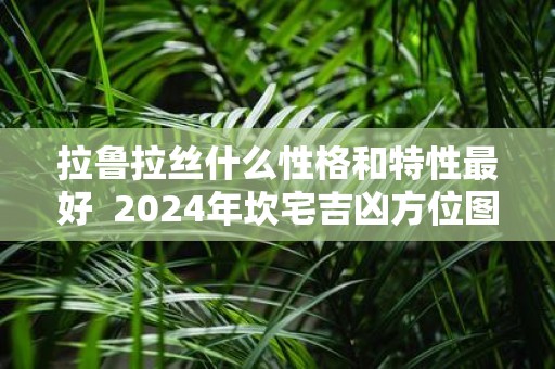 拉鲁拉丝什么性格和特性最好 2025年坎宅吉凶方位图解