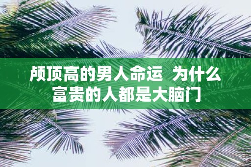 颅顶高的男人命运 为什么富贵的人都是大脑门