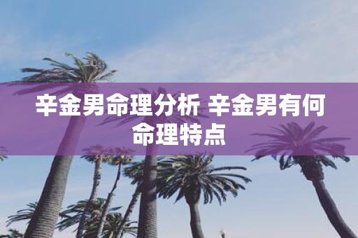 辛金男命理分析 辛金男有何命理特点