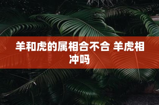 羊和虎的属相合不合 羊虎相冲吗