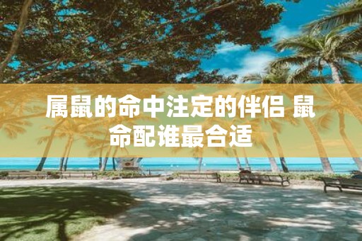 属鼠的命中注定的伴侣 鼠命配谁最合适