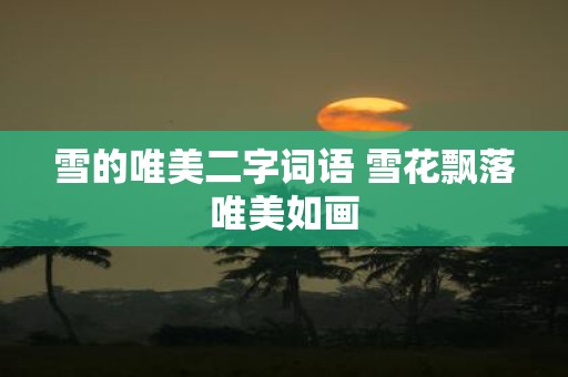 雪的唯美二字词语 雪花飘落唯美如画