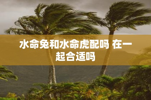水命兔和水命虎配吗 在一起合适吗