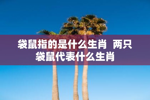 袋鼠指的是什么生肖 两只袋鼠代表什么生肖