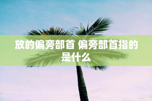放的偏旁部首 偏旁部首指的是什么