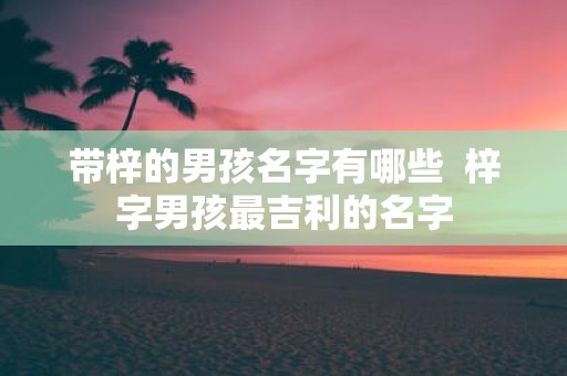 带梓的男孩名字有哪些 梓字男孩最吉利的名字