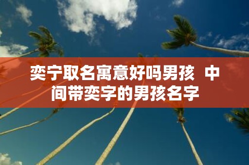 奕宁取名寓意好吗男孩 中间带奕字的男孩名字