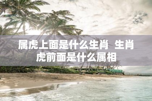 属虎上面是什么生肖 生肖虎前面是什么属相
