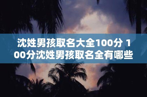 沈姓男孩取名大全100分 100分沈姓男孩取名全有哪些