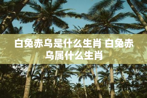 白兔赤乌是什么生肖 白兔赤乌属什么生肖