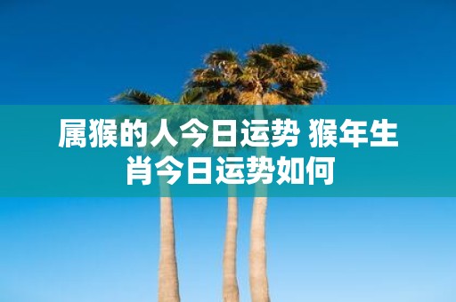 属猴的人今日运势 猴年生肖今日运势如何