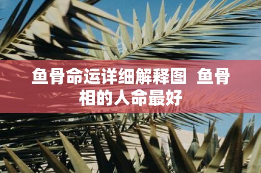 鱼骨命运详细解释图 鱼骨相的人命最好