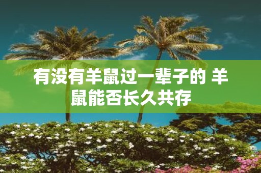 有没有羊鼠过一辈子的 羊鼠能否长久共存