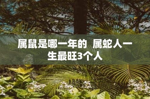 属鼠是哪一年的 属蛇人一生最旺3个人