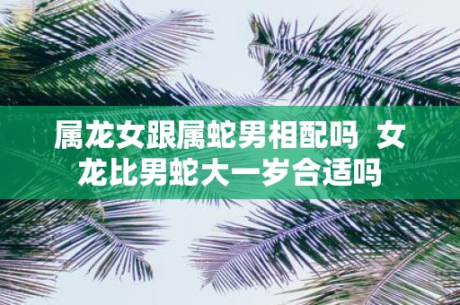 属龙女跟属蛇男相配吗 女龙比男蛇大一岁合适吗