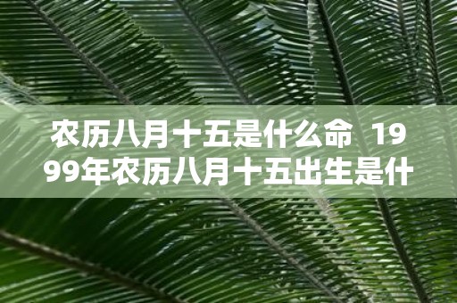 农历八月十五是什么命 1999年农历八月十五出生是什么命