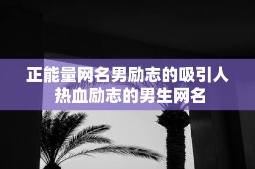 正能量网名男励志的吸引人 热血励志的男生网名