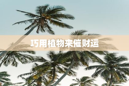 巧用植物来催财运
