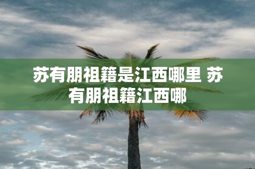 苏有朋祖籍是江西哪里 苏有朋祖籍江西哪