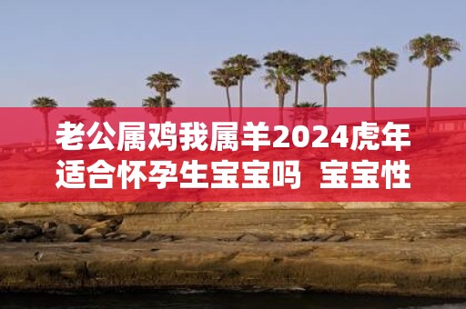 老公属鸡我属羊2025虎年适合怀孕生宝宝吗 宝宝性格好不好